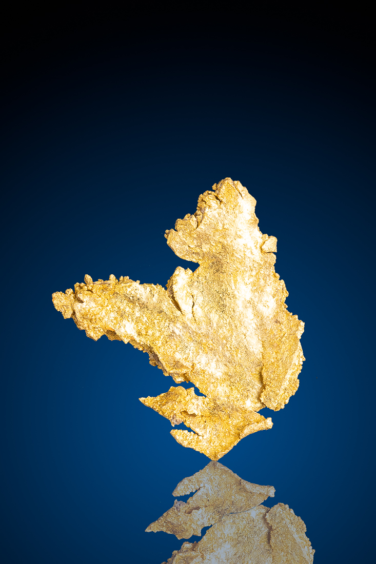 (image for) Unique Leaf Gold Nugget Specimen from the famous Round Mountain Gold Mine, NV